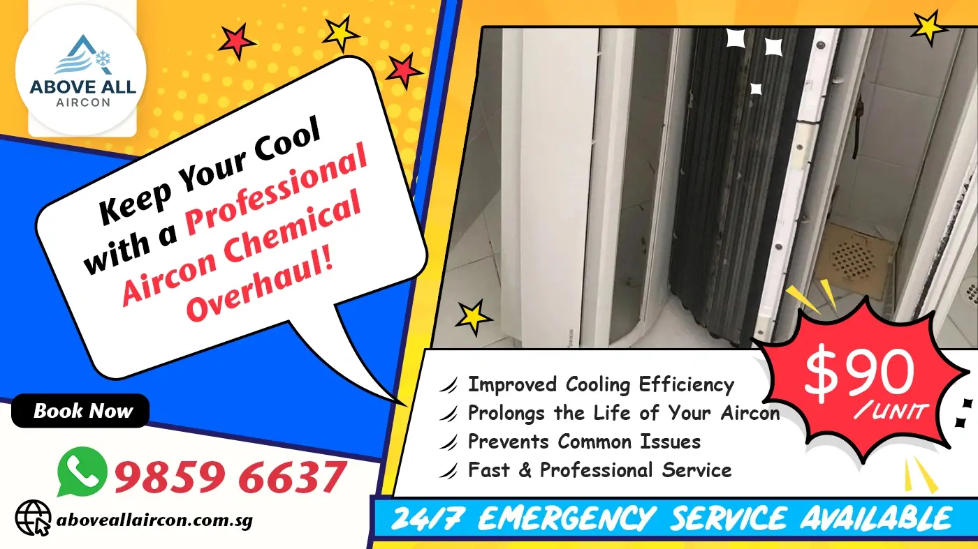 Aircon chemical overhaul